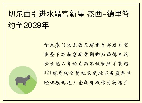 切尔西引进水晶宫新星 杰西-德里签约至2029年